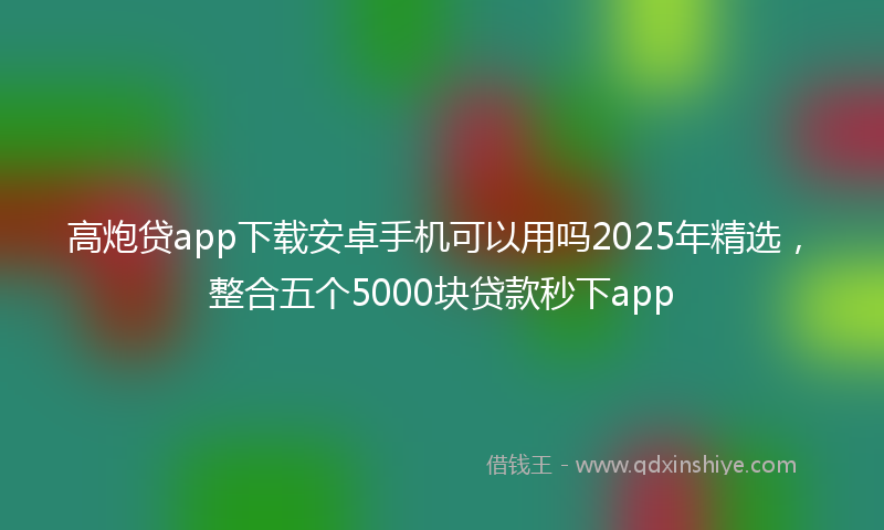 高炮贷app下载安卓手机可以用吗2025年精选，整合五个5000块贷款秒下app