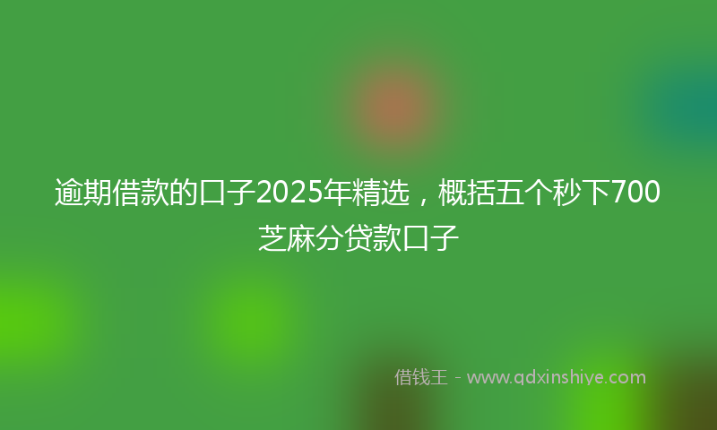逾期借款的口子2025年精选，概括五个秒下700芝麻分贷款口子