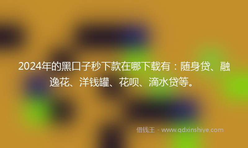 2024年的黑口子秒下款在哪下载有：随身贷、融逸花、洋钱罐、花呗、滴水贷等。