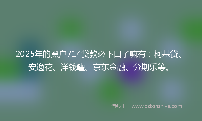 2025年的黑户714贷款必下口子嘛有：柯基贷、安逸花、洋钱罐、京东金融、分期乐等。