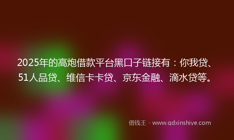 2025年的高炮借款平台黑口子链接有：你我贷、51人品贷、维信卡卡贷、京东金融、滴水贷等。
