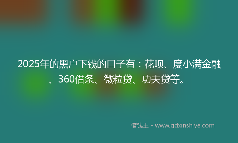 2025年的黑户下钱的口子有：花呗、度小满金融、360借条、微粒贷、功夫贷等。