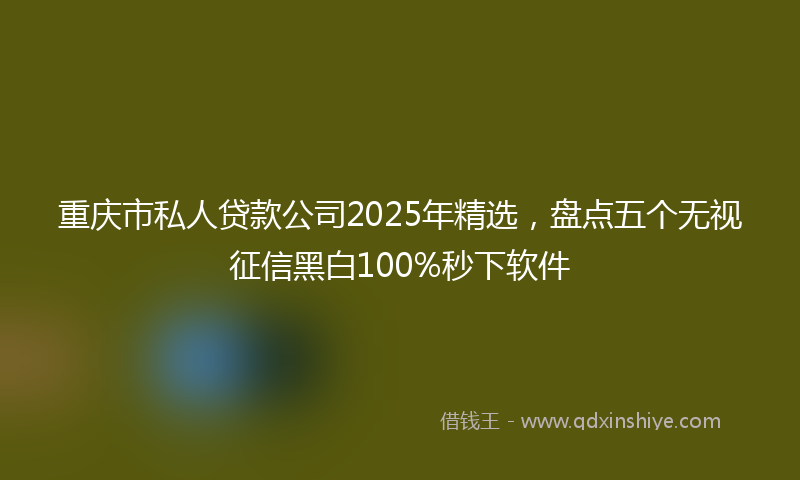 重庆市私人贷款公司2025年精选，盘点五个无视征信黑白100%秒下软件