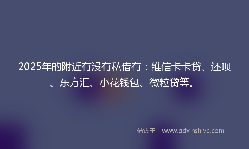 2025年的附近有没有私借有：维信卡卡贷、还呗、东方汇、小花钱包、微粒贷等。
