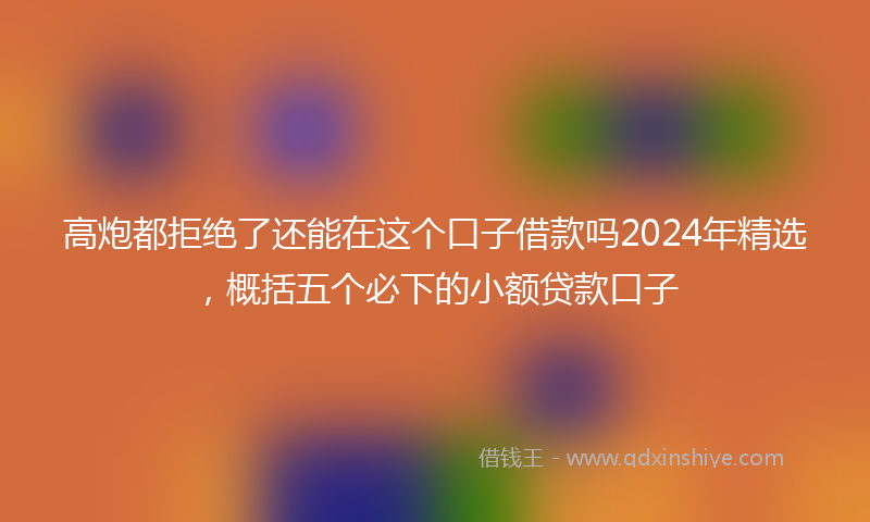 高炮都拒绝了还能在这个口子借款吗2024年精选，概括五个必下的小额贷款口子
