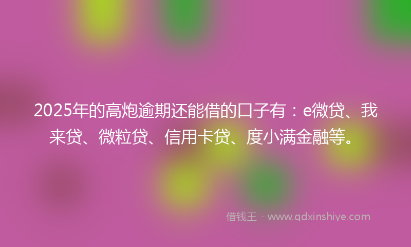 2025年的高炮逾期还能借的口子有：e微贷、我来贷、微粒贷、信用卡贷、度小满金融等。