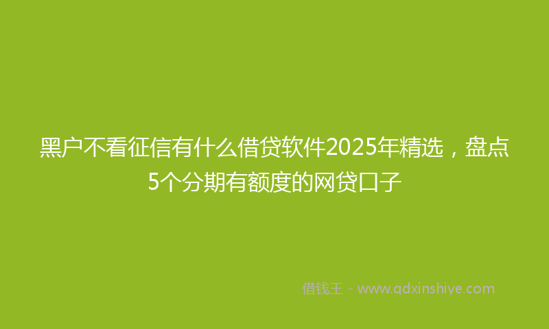 黑户不看征信有什么借贷软件2025年精选，盘点5个分期有额度的网贷口子