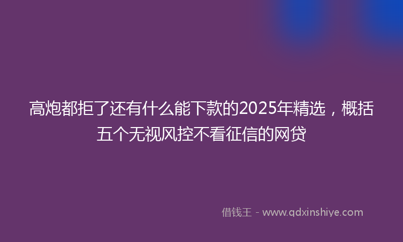 高炮都拒了还有什么能下款的2025年精选，概括五个无视风控不看征信的网贷