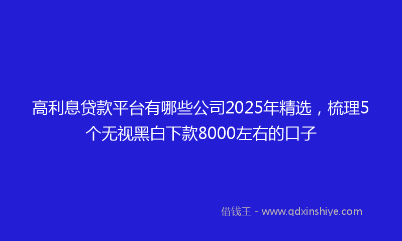 高利息贷款平台有哪些公司2025年精选，梳理5个无视黑白下款8000左右的口子