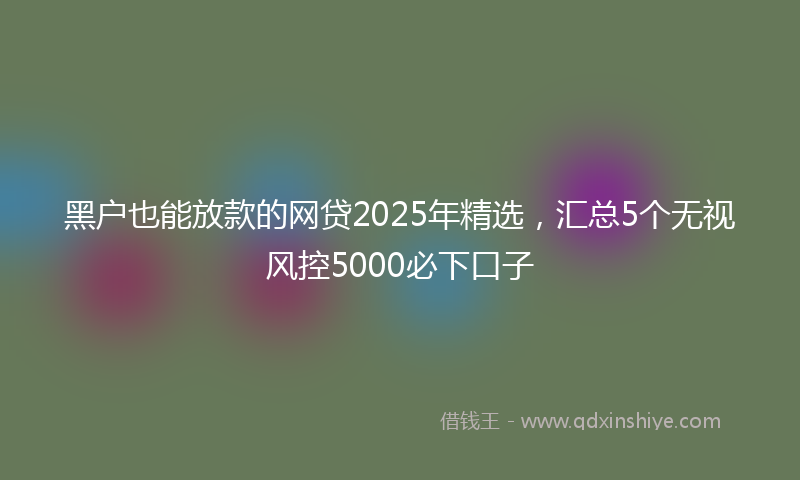 黑户也能放款的网贷2025年精选，汇总5个无视风控5000必下口子