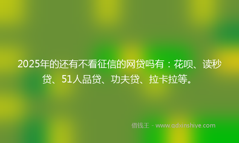 2025年的还有不看征信的网贷吗有：花呗、读秒贷、51人品贷、功夫贷、拉卡拉等。