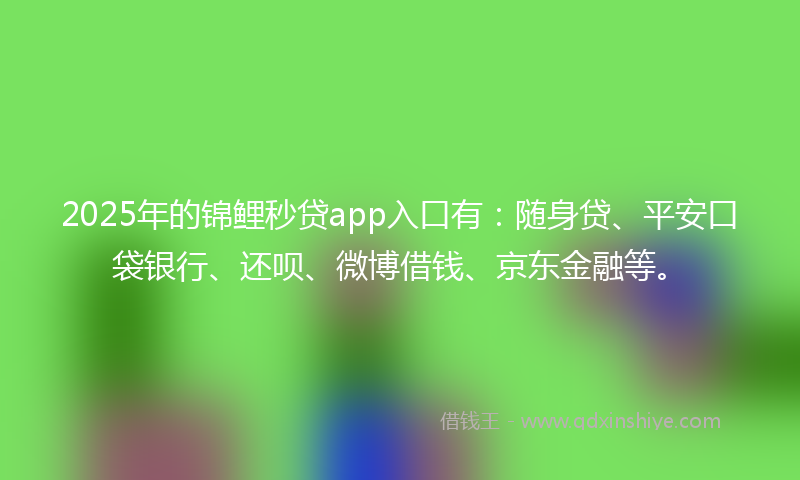 2025年的锦鲤秒贷app入口有：随身贷、平安口袋银行、还呗、微博借钱、京东金融等。
