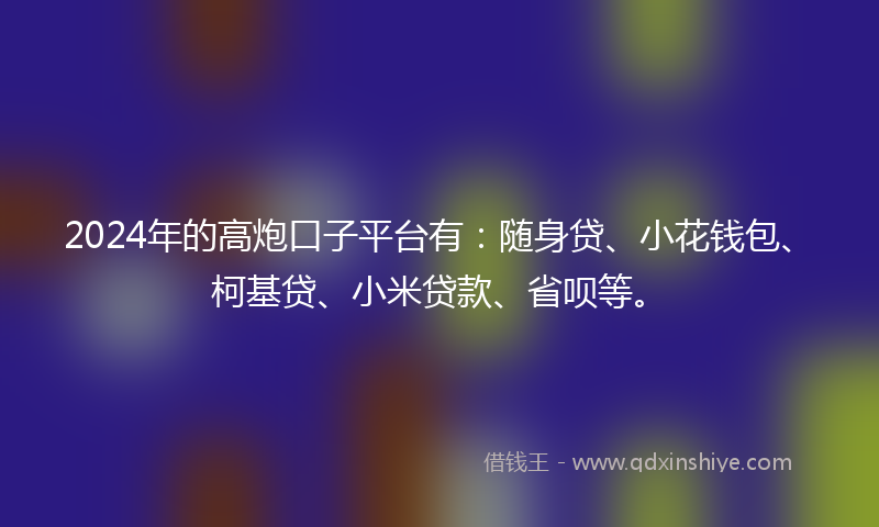 2024年的高炮口子平台有：随身贷、小花钱包、柯基贷、小米贷款、省呗等。