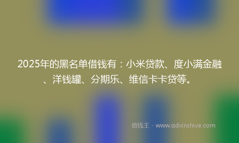 2025年的黑名单借钱有：小米贷款、度小满金融、洋钱罐、分期乐、维信卡卡贷等。