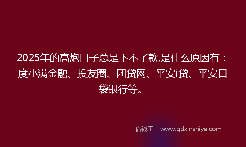 2025年的高炮口子总是下不了款,是什么原因有：度小满金融、投友圈、团贷网、平安i贷、平安口袋银行等。
