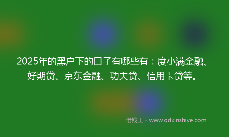 2025年的黑户下的口子有哪些有：度小满金融、好期贷、京东金融、功夫贷、信用卡贷等。