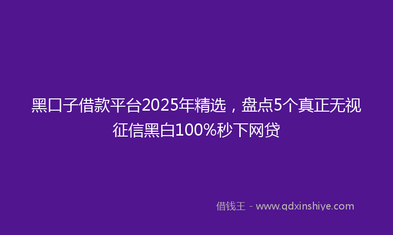 黑口子借款平台2025年精选，盘点5个真正无视征信黑白100%秒下网贷