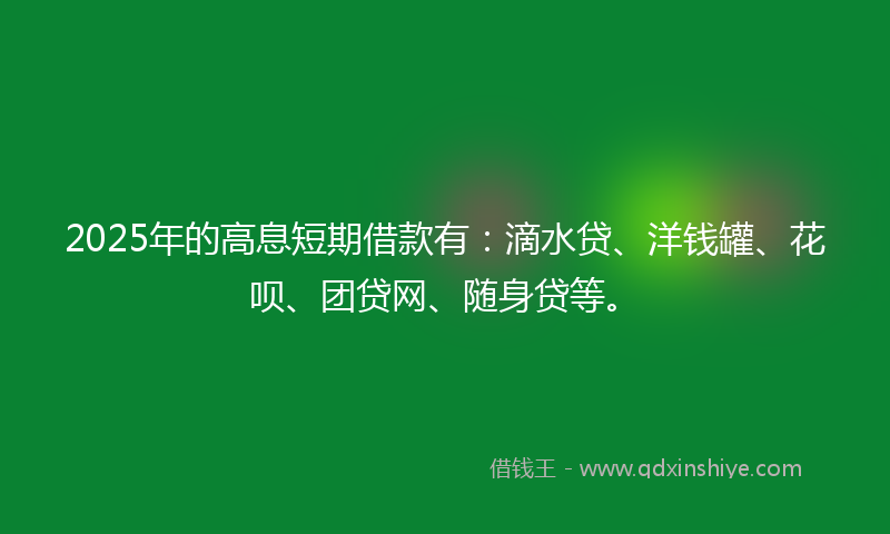 2025年的高息短期借款有：滴水贷、洋钱罐、花呗、团贷网、随身贷等。