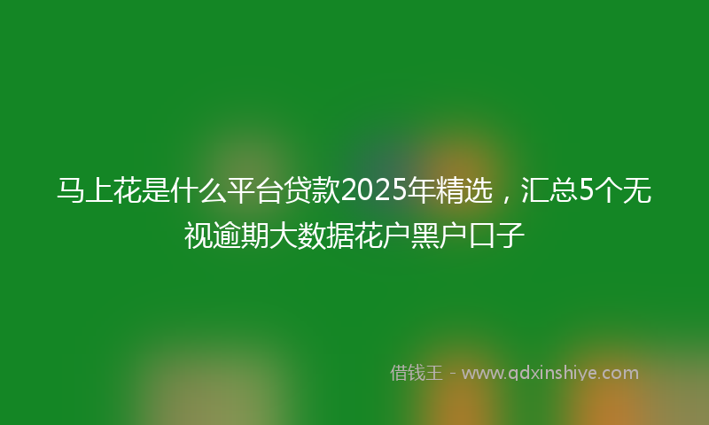 马上花是什么平台贷款2025年精选，汇总5个无视逾期大数据花户黑户口子