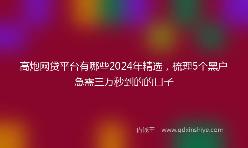 高炮网贷平台有哪些2024年精选，梳理5个黑户急需三万秒到的的口子