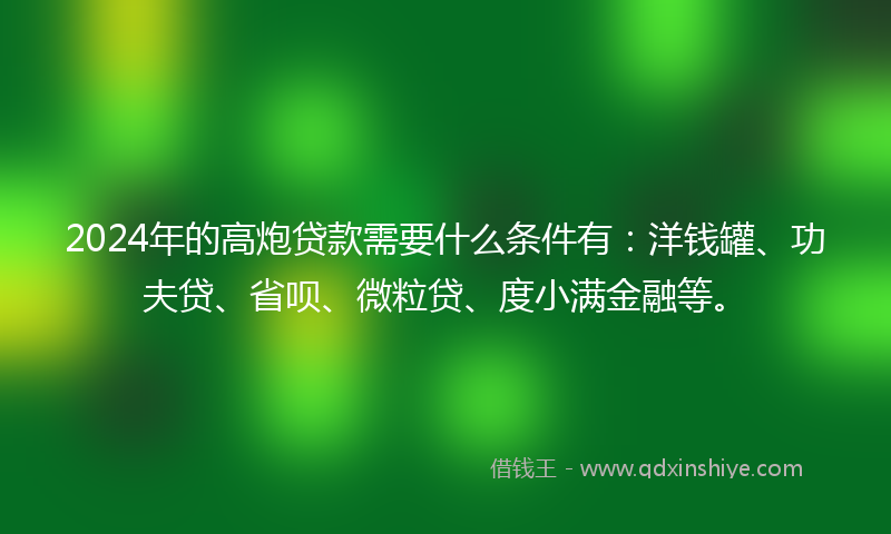 2024年的高炮贷款需要什么条件有：洋钱罐、功夫贷、省呗、微粒贷、度小满金融等。