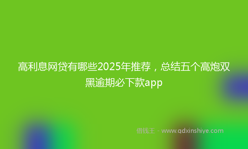 高利息网贷有哪些2025年推荐，总结五个高炮双黑逾期必下款app