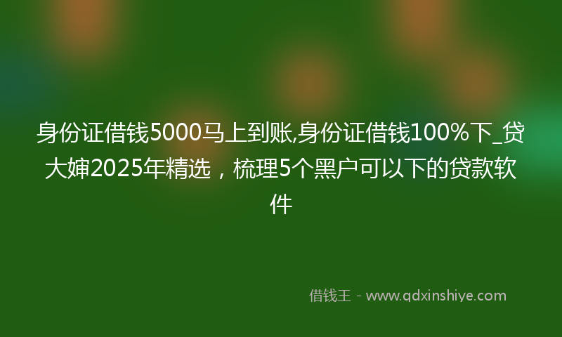 身份证借钱5000马上到账,身份证借钱100%下_贷大婶2025年精选，梳理5个黑户可以下的贷款软件