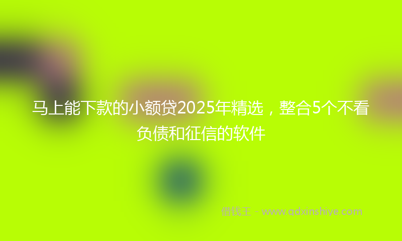 马上能下款的小额贷2025年精选，整合5个不看负债和征信的软件