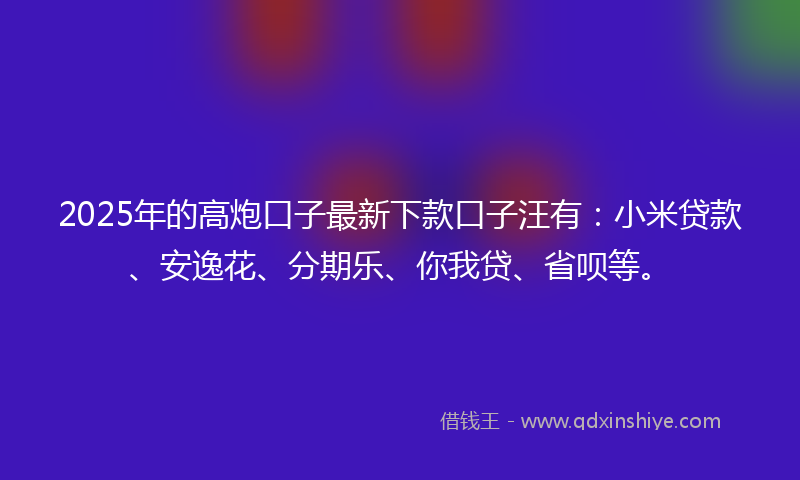 2025年的高炮口子最新下款口子汪有：小米贷款、安逸花、分期乐、你我贷、省呗等。