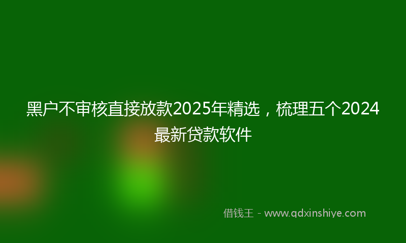 黑户不审核直接放款2025年精选，梳理五个2024最新贷款软件