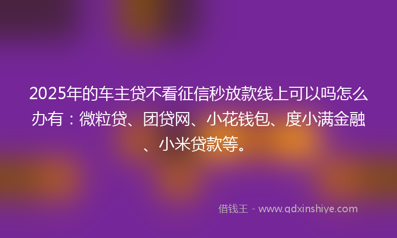2025年的车主贷不看征信秒放款线上可以吗怎么办有：微粒贷、团贷网、小花钱包、度小满金融、小米贷款等。
