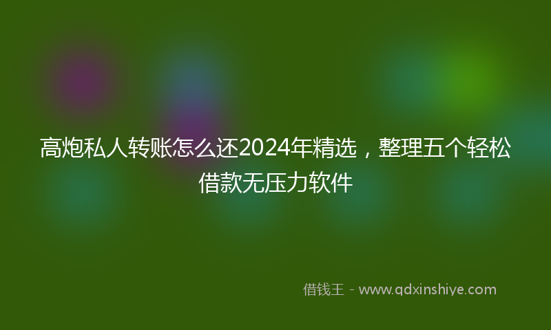 高炮私人转账怎么还2024年精选，整理五个轻松借款无压力软件