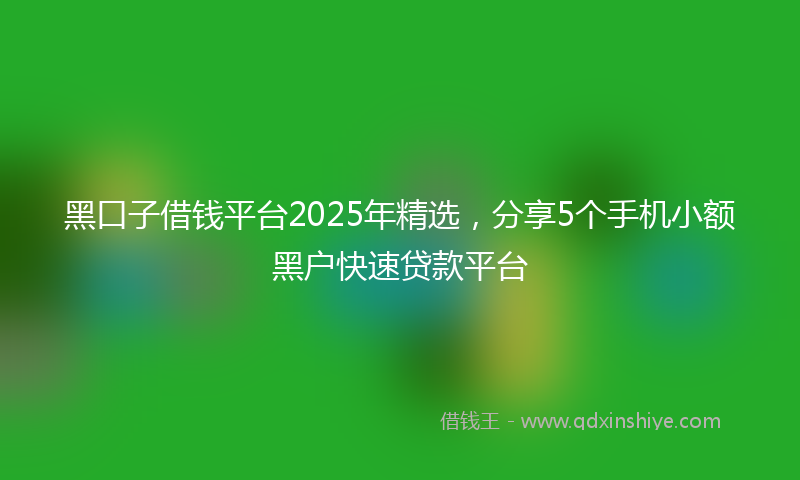 黑口子借钱平台2025年精选，分享5个手机小额黑户快速贷款平台