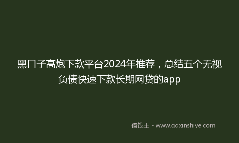 黑口子高炮下款平台2024年推荐，总结五个无视负债快速下款长期网贷的app