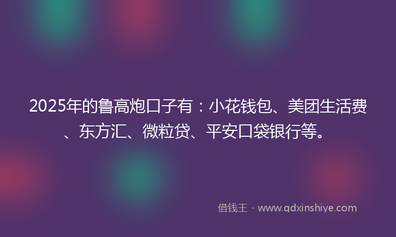 2025年的鲁高炮口子有：小花钱包、美团生活费、东方汇、微粒贷、平安口袋银行等。