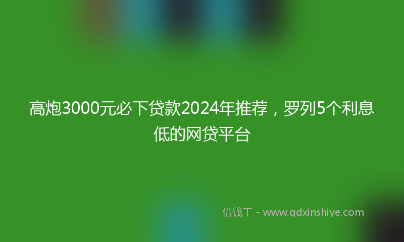 高炮3000元必下贷款2024年推荐，罗列5个利息低的网贷平台