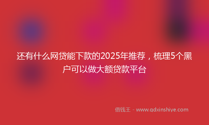 还有什么网贷能下款的2025年推荐，梳理5个黑户可以做大额贷款平台