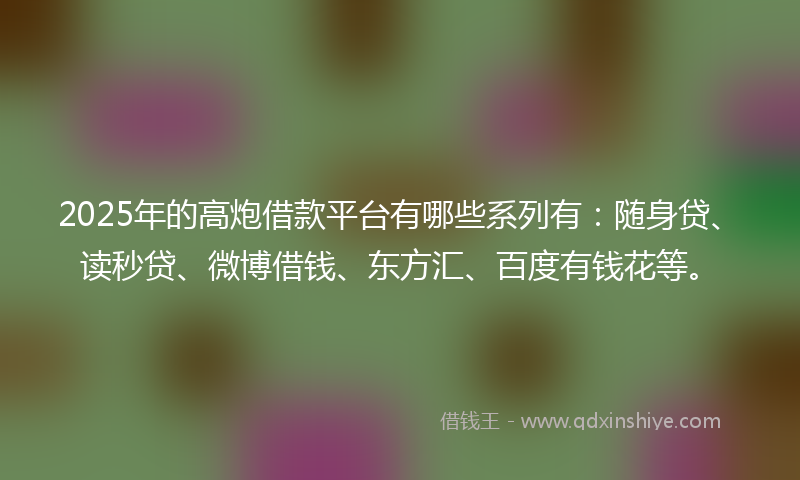 2025年的高炮借款平台有哪些系列有：随身贷、读秒贷、微博借钱、东方汇、百度有钱花等。