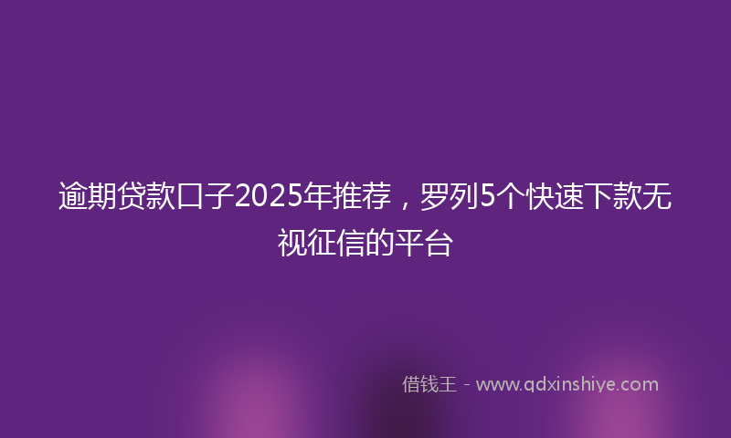 逾期贷款口子2025年推荐，罗列5个快速下款无视征信的平台