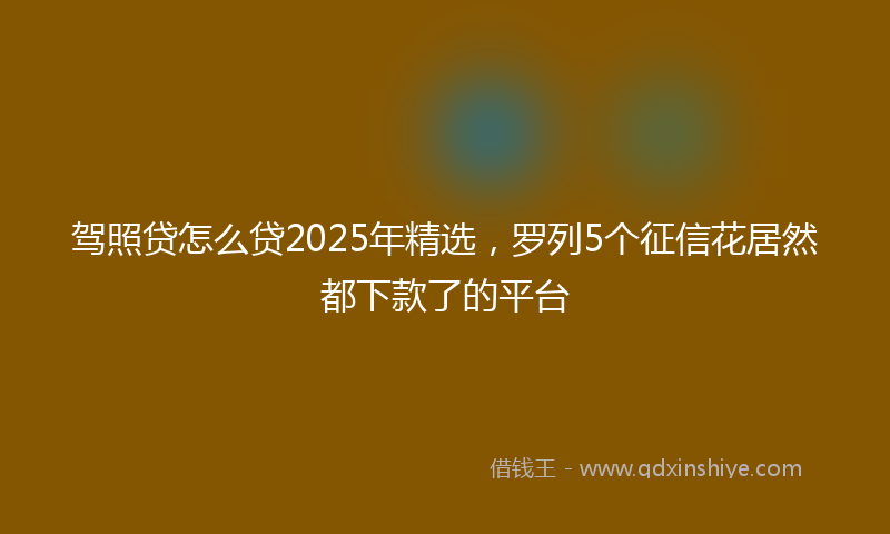 驾照贷怎么贷2025年精选，罗列5个征信花居然都下款了的平台