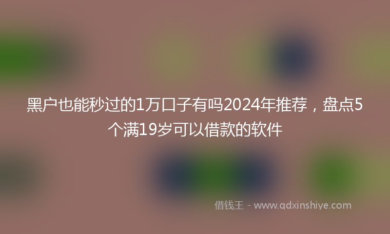 黑户也能秒过的1万口子有吗2024年推荐，盘点5个满19岁可以借款的软件