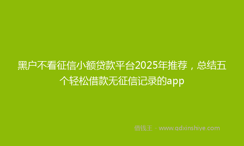 黑户不看征信小额贷款平台2025年推荐，总结五个轻松借款无征信记录的app