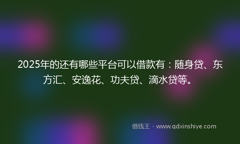 2025年的还有哪些平台可以借款有：随身贷、东方汇、安逸花、功夫贷、滴水贷等。