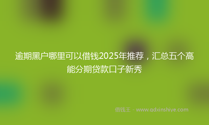 逾期黑户哪里可以借钱2025年推荐，汇总五个高能分期贷款口子新秀