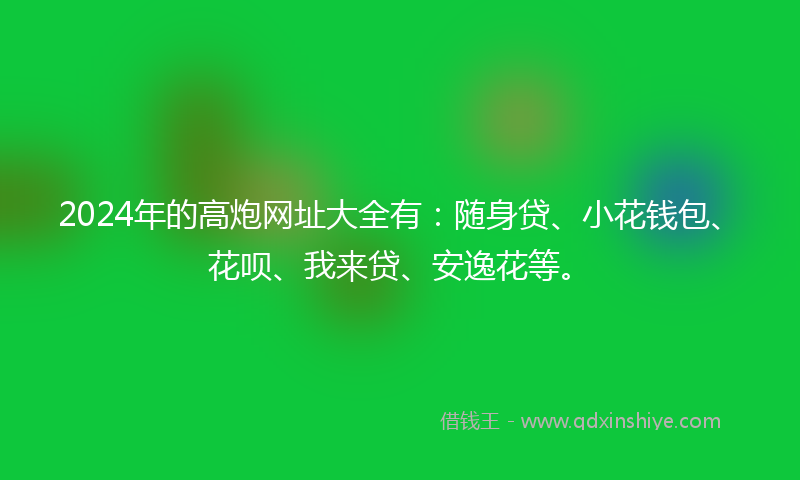 2024年的高炮网址大全有：随身贷、小花钱包、花呗、我来贷、安逸花等。
