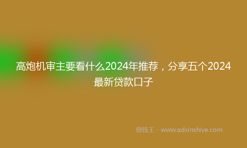 高炮机审主要看什么2024年推荐，分享五个2024最新贷款口子