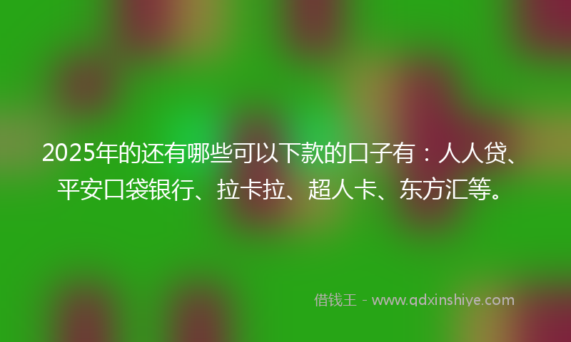 2025年的还有哪些可以下款的口子有：人人贷、平安口袋银行、拉卡拉、超人卡、东方汇等。