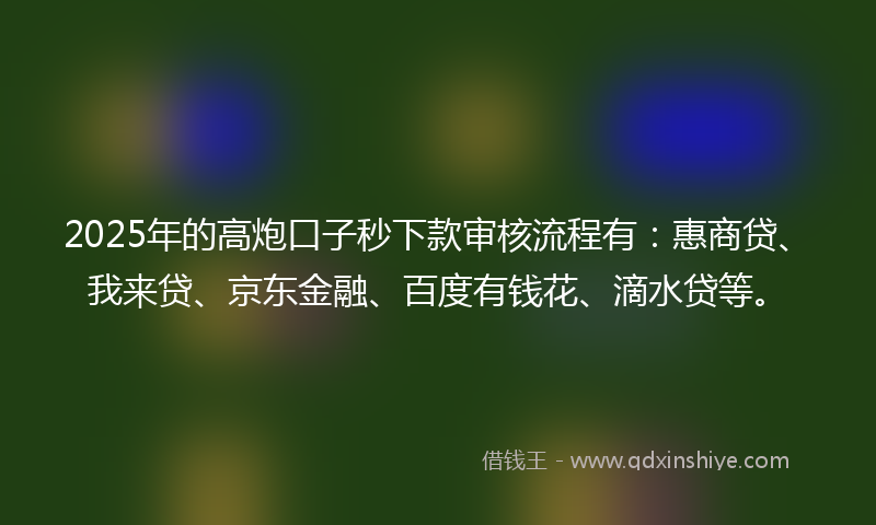 2025年的高炮口子秒下款审核流程有：惠商贷、我来贷、京东金融、百度有钱花、滴水贷等。