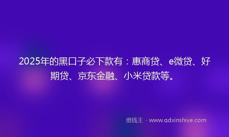 2025年的黑口子必下款有：惠商贷、e微贷、好期贷、京东金融、小米贷款等。