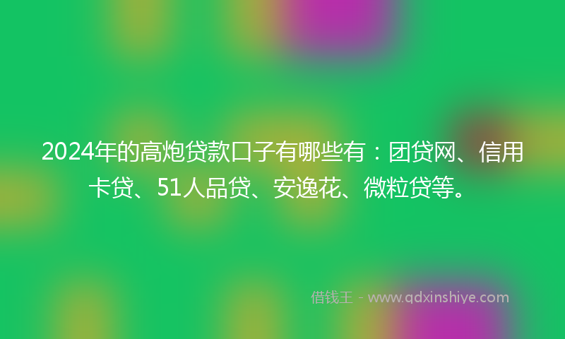 2024年的高炮贷款口子有哪些有：团贷网、信用卡贷、51人品贷、安逸花、微粒贷等。